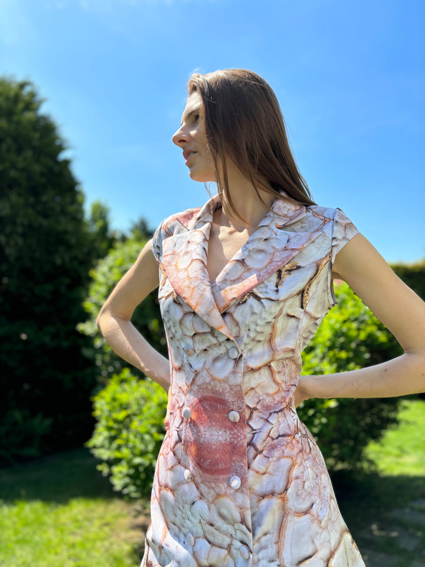 BOSS dress -Alice